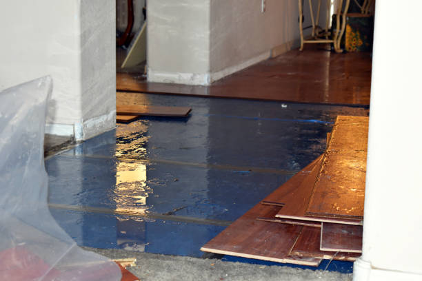 Professional Emergency Water Damage Restoration technician working in University Center, MI